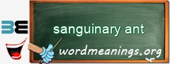 WordMeaning blackboard for sanguinary ant
